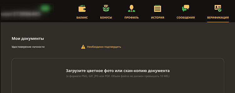 Идентификация на сайте