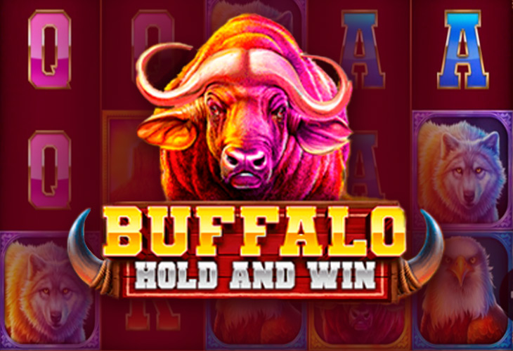 Buffalo Hold and Win