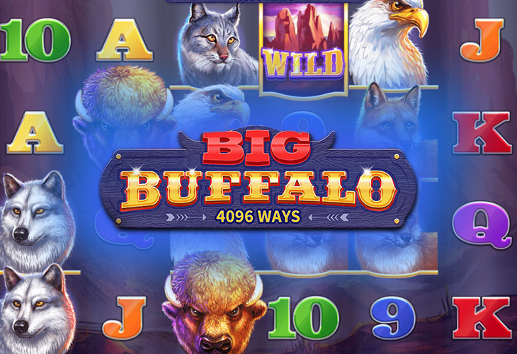 Big Buffalo