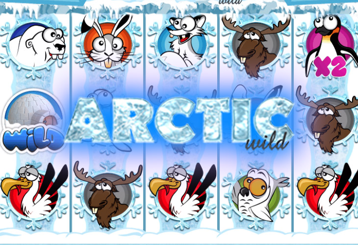 Arctic Wild