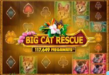 Big Cat Rescue MegaWays