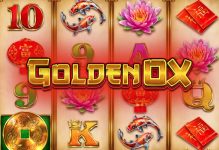 Golden Ox