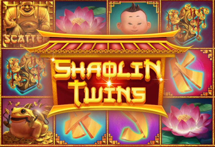 Shaolin Twins