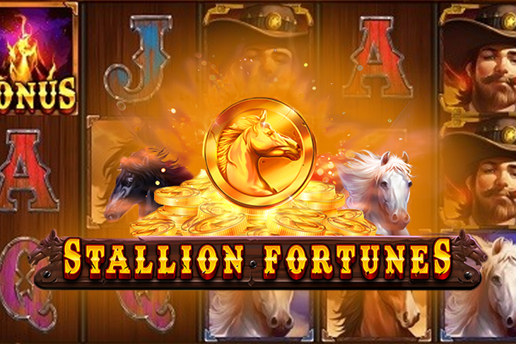 Stallion Fortunes